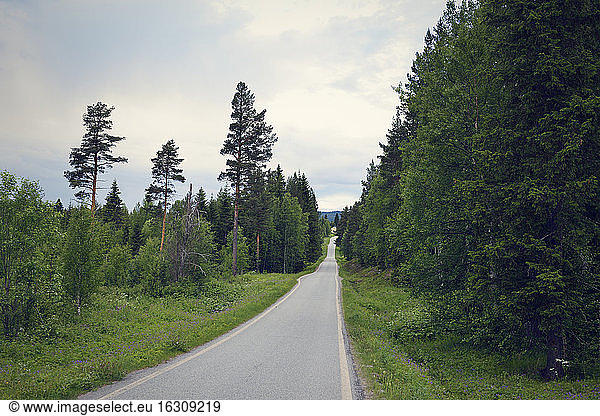 Sweden  Stroemsund  road through forest
