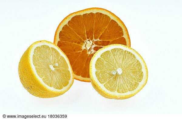 Sweet orange and lemon  Citrus aurantium sinensis  Citrus lemon