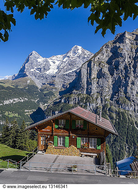 Switzerland  Bernese Oberland  Eiger and Moench  Muerren in summer  wooden house