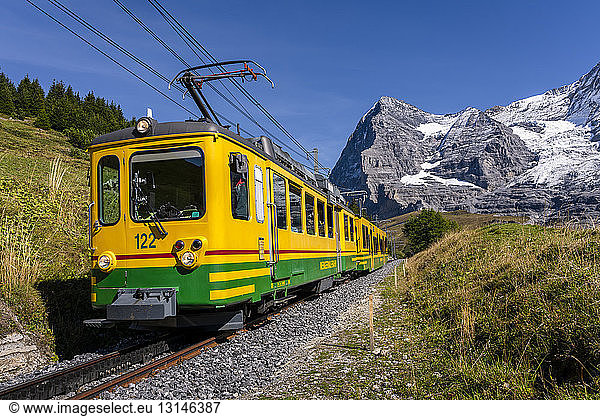Switzerland  Bernese Oberland  Eiger  Wengernalp Railway
