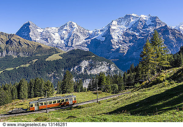 Switzerland  Bernese Oberland  Pletschenalp  Lauterbrunnen?Muerren Mountain Railway