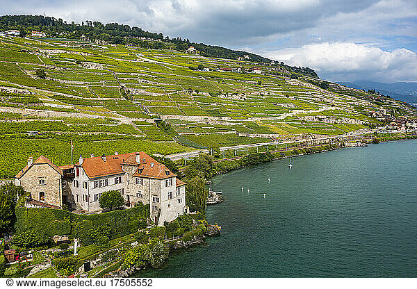 Switzerland  Canton of Vaud  Aerial view of terraced vineyards of Lavaux in summer