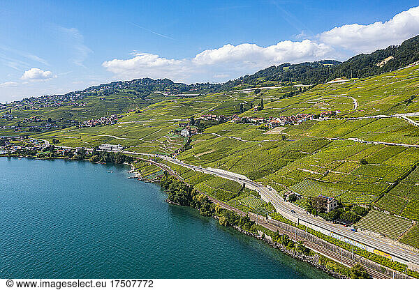 Switzerland  Canton of Vaud  Aerial view of terraced vineyards of Lavaux in summer