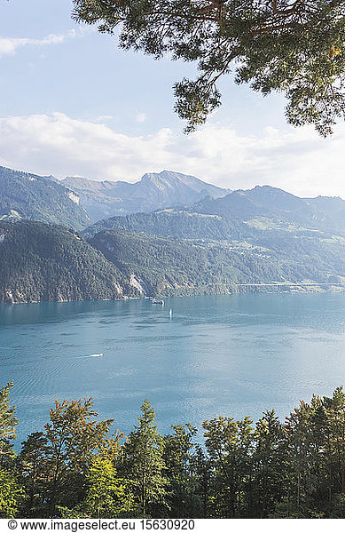 Switzerland  Gersau  Schwyz  Scenic view of Lake Lucerne in summer