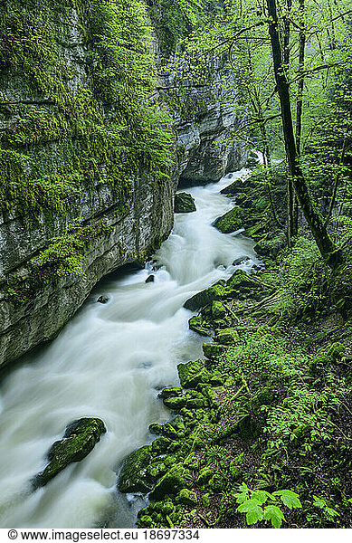 Switzerland  Neuchatel Canton  Long exposure of Areuse river flowing through canyon