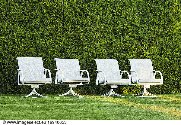 Swivel chairs in front of a hedge on grass.