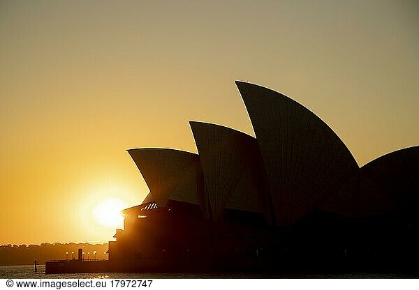 Sydney Opera House bei Sonnenaufgang  Sydney  New South Wales  Australien  Ozeanien