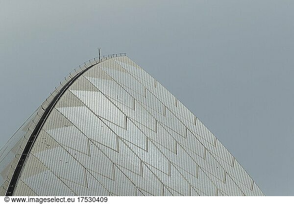 Sydney Opera House  close up of one of the sails  Sydney  New South Wales  Australia  Oceania