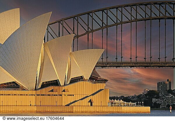 Sydney Opera House seen from the Harbour Bridge  early morning  Sydney  New South Wales  Australia  Oceania