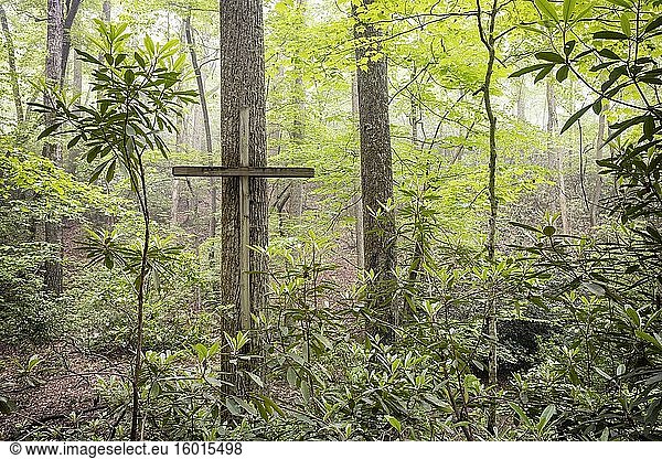 Symbolisches Holzkreuz im Wald - Brevard  North Carolina  USA.