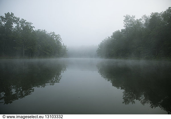 Symmetry view of trees by lake against sky during foggy weather