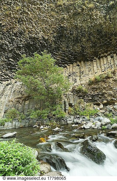 Symphonie der Steine  Basaltsäulenformation entlang der Garni-Schlucht  Provinz Kotayk  Armenien  Kaukasus  Mittlerer Osten  Asien