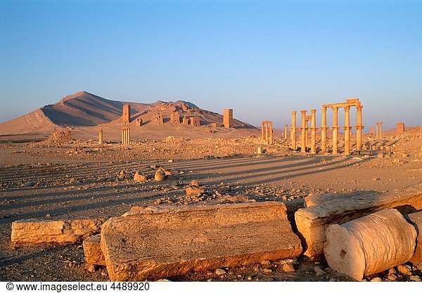 Syria  Palmyra  Funerary Towers  desert landscape