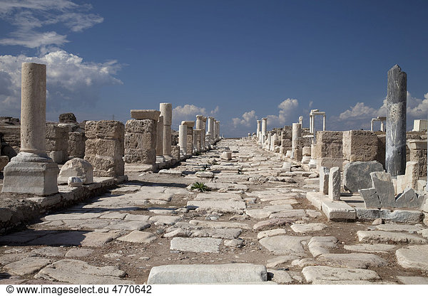 Syria Straße  Ausgrabungsstätte  Museum  Laodicea  Denizli  Lykien  Türkei  Asien
