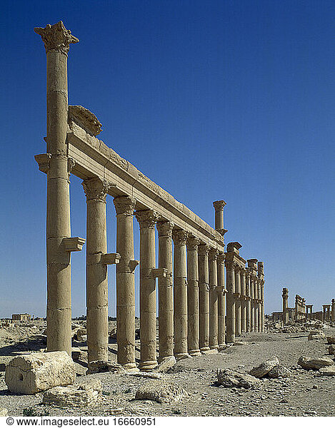 Syrien. Palmyra Stadt. Die Große Kolonnade. Ruinen des Römischen Reiches. Tadmur  Homs. Foto vor dem syrischen Bürgerkrieg.