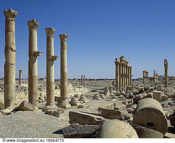 Syrien. Palmyra Stadt. Die Große Kolonnade. Ruinen des Römischen Reiches. Tadmur  Homs. Foto vor dem syrischen Bürgerkrieg.