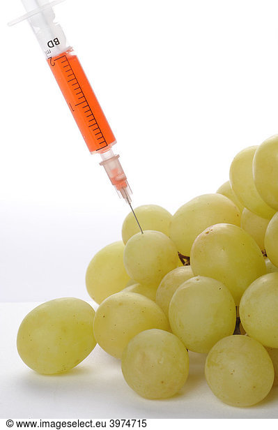 Syringe in grapes  symbolic picture  genetically modified foods