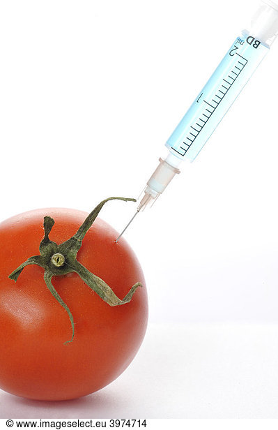 Syringe in tomato  symbolic picture  genetically modified foods