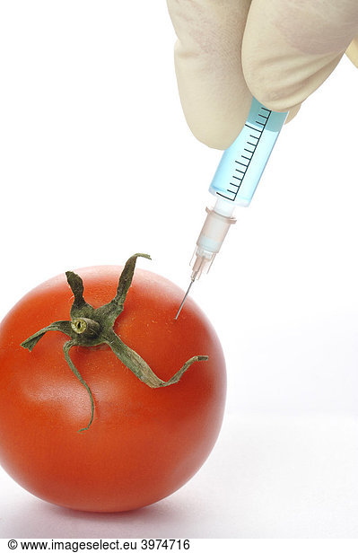 Syringe in tomato  symbolic picture  genetically modified foods