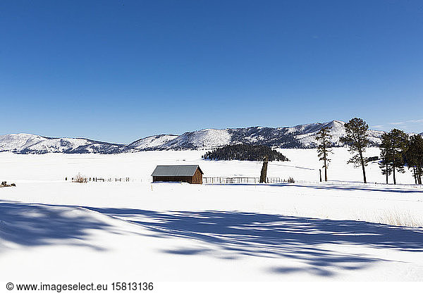 Szenerie einer winterlichen Schneelandschaft und einer kleinen Hütte.