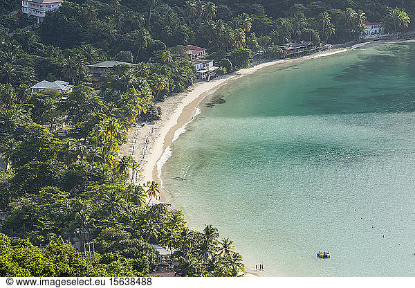 Szenische Ansicht der am Strand wachsenden Palmen  Tortola  Britische Jungferninseln