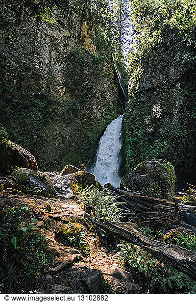 Szenische Ansicht des Wasserfalls im Wald