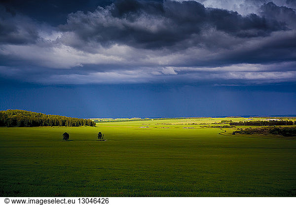 Szenische Ansicht eines Grasfeldes vor stürmischen Wolken