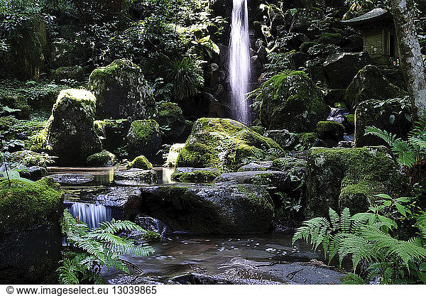 Szenische Ansicht eines Wasserfalls im Wald