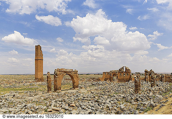 Türkei  Anatolien  Südostanatolien  Provinz Sanliurfa  Harran  Ruinen der Universität und des Minaretts von Ulu Camii