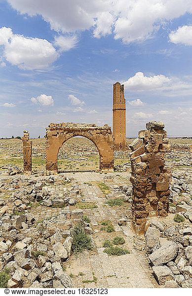 Türkei  Anatolien  Südostanatolien  Provinz Sanliurfa  Harran  Ruinen der Universität und des Minaretts von Ulu Camii