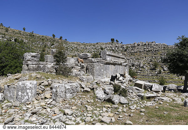Türkei Antalya Provinz Manavgat Koepruelue Canyon Nationalpark archäologische Stätte von Selge