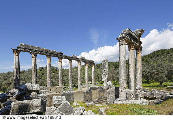 Türkei  Milas  Blick auf den Zeus-Tempel