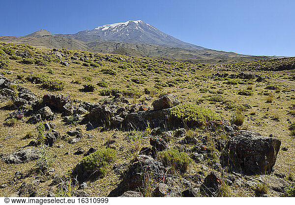 Türkei  Ostanatolien  Provinz Agri  Nationalpark Berg Ararat