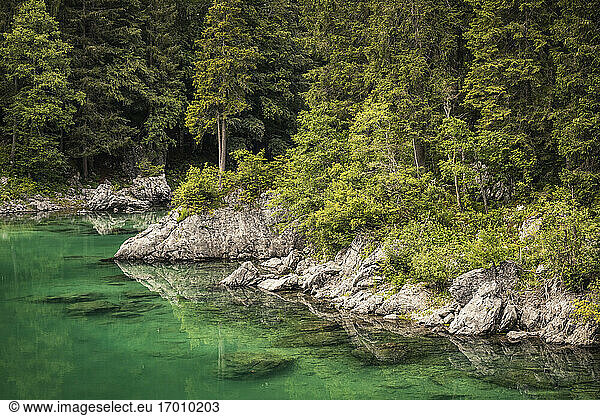 Türkisfarbener See und Wald