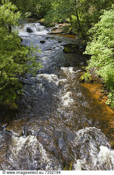 Taf Fechan Wasserfall  Brecon-Beacons-Nationalpark  Powys  Wales  Großbritannien  Europa