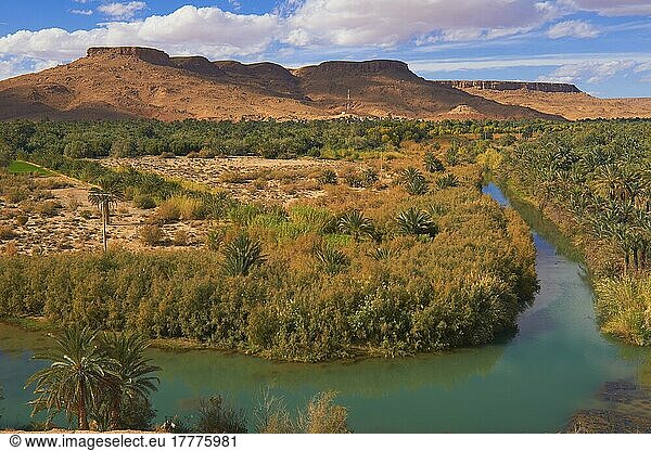 Tafilalet-Oase  Tafilalt-Oase  Ziz-Fluss  Gorges du Ziz  Ziz-Tal  Ziz-Schluchten  Region Tafilalet  Nordafrika  Marokko  Afrika