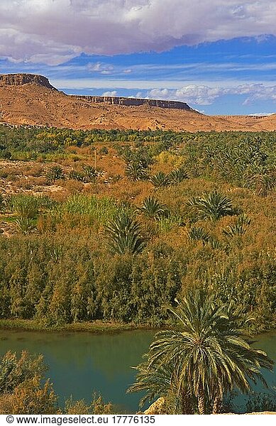 Tafilalet-Oase  Tafilalt-Oase  Ziz-Fluss  Gorges du Ziz  Ziz-Tal  Ziz-Schluchten  Region Tafilalet  Nordafrika  Marokko  Afrika
