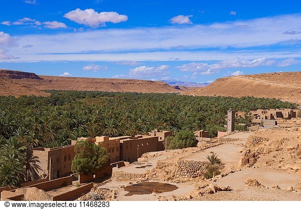Tafilalet Oasis,  Tafilalt Oasis,  Gorges du Ziz,  Ziz Valley,  Ziz Gorges,  Tafilalet region,  Morocco,  North Africa.