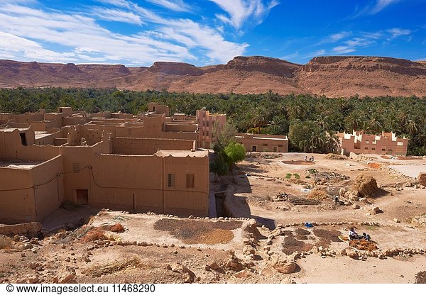 Tafilalet Oasis, Tafilalt Oasis, Gorges du Ziz, Ziz Valley, Ziz Gorges, Tafilalet region, Morocco, North Africa.
