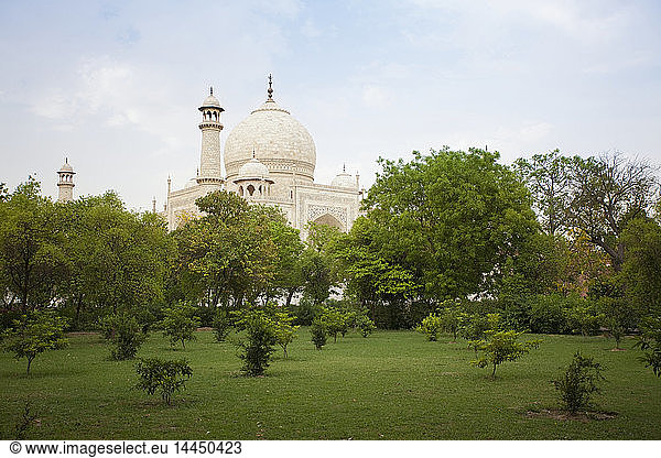 Taj Mahal behind trees in park  Agra  Uttar Pradesh  India