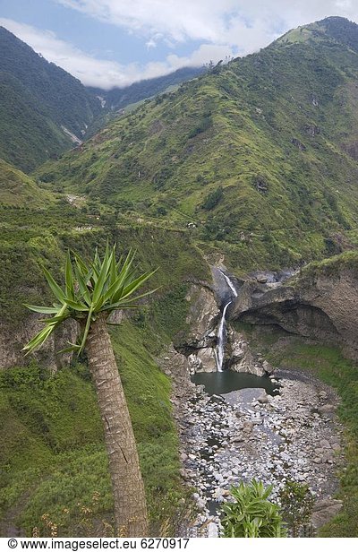 Tal  fließen  Wasserfall  Sehenswürdigkeit  Anden  Ecuador  Südamerika