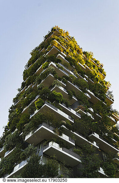 Tall apartment with vertical garden