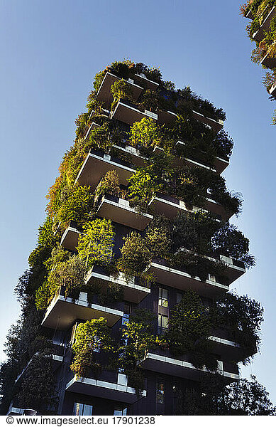 Tall building with vertical garden