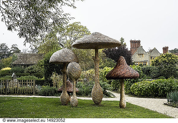 Tall wooden carved toadstools garden sculptures