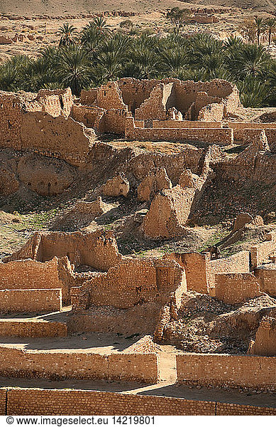 Tamerza  ruines of the old Berber village  Tunisia  North Africa