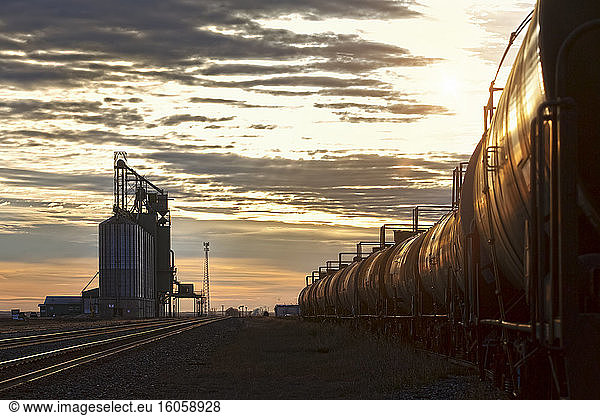 Tank cars on a train beside a grain storage facility at dusk; Alberta  Canada