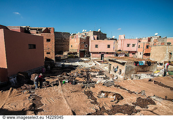 Tanneries Marrakech Morocco North Africa Africa