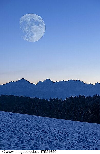 Tannheimer Berge  Moon  Allgäu  Bavaria  Germany  Europe