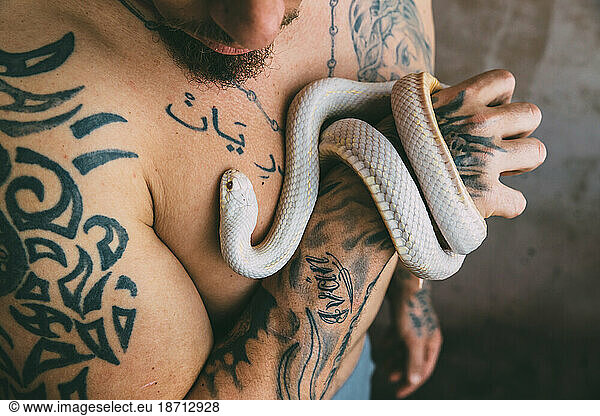 Tattooed man holding a snake lampropeltis albina