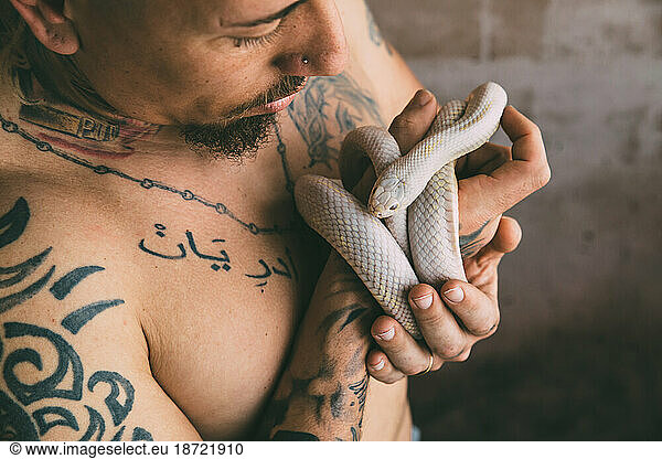 Tattooed man holding a snake lampropeltis albina